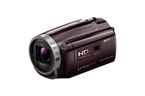 ソニー SONY ビデオカメラ Handycam 光学30倍 内蔵メモリー32GB
