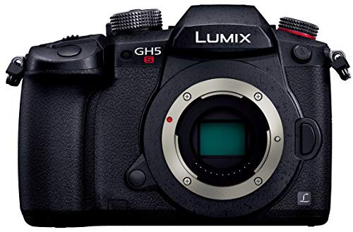 パナソニック ミラーレス一眼カメラ ルミックス GH5S ボディ ブラック DC-GH5S-K(中古品)