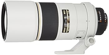 【フジヤカメラ】難有り品 Nikon AF-S 300mm F4 D ED ライトグレー ニコン AF一眼レフ用 超望遠単焦点レンズ B754 ☆超美品！☆Nikon AF-S Nikkor ED 300mm F4D IF ブラック ニコン