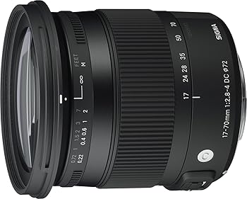 SIGMA 17-70mm F2.8-4 DC MACRO HSM | Contemporary C013