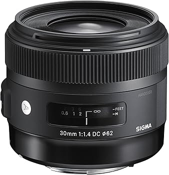 シグマ SIGMA 30mm F1.4 DC HSM | Art A013 | Sony Aマウント | APS-C/Super35(中古品)の通販は 26,278円
