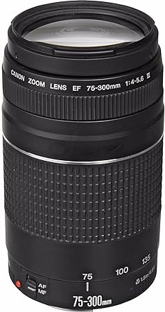 キャノンEF 75-300mm f/4-5.6 III 望遠ズームレンズ(中古品)