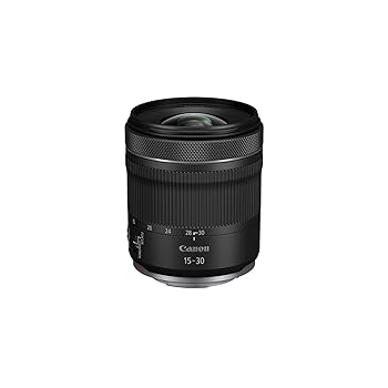 Canon RF 15-30mm F4.5-6.3 STM(中古品)