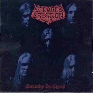 Serenity in Chaos [CD](中古品)