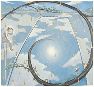 『ナポレオンフィッシュと泳ぐ日』 限定編集版(Limited Edition)(DVD付) [CD](中古品)