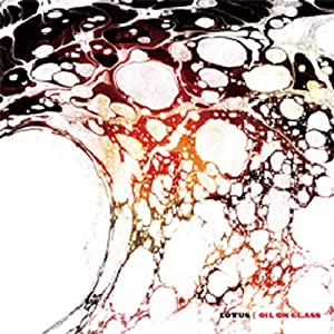 オイル・オン・グラス/フェザー・オン・ウッド [CD](中古品)の通販は