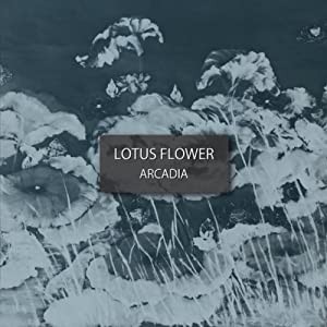 LOTUS FLOWER [CD](中古品)