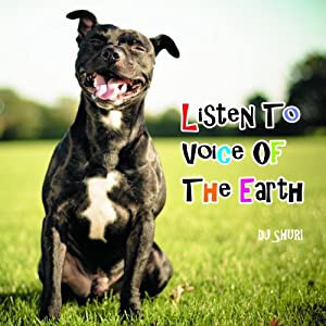 Listen To A Voice Of The Earth -DJ SHURI- [CD](中古品)