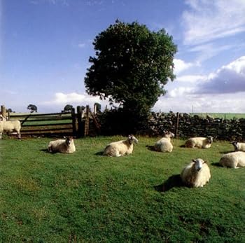 Chill Out The KLF [CD](中古:非常に良い)