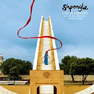 Shpongle LIVE IN CONCERT AT THE ROUNDHOUSE LONDON 2008 [DVD] [Import](中古品)の通販は
