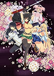 閃乱カグラ 第壱巻 [DVD](中古品)