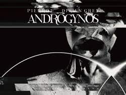 PIERROT DIR EN GREY ANDROGYNOS Blu-ray【豪華盤】(中古品)