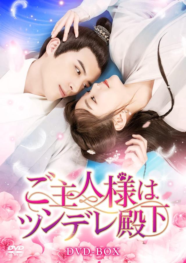 ご主人様はツンデレ殿下 DVD-BOX フー・イーシュエン(中古品)