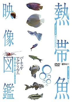 青山真治 TRILOGY BOX [初回限定生産] [DVD] 新品未使用 Amazon.co.jp: 青山真治 TRILOGY BOX [初回限定生産] [DVD