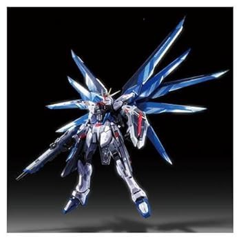 METAL BUILD フリーダムガンダム プリズムコートVer. フィギュア(中古品)