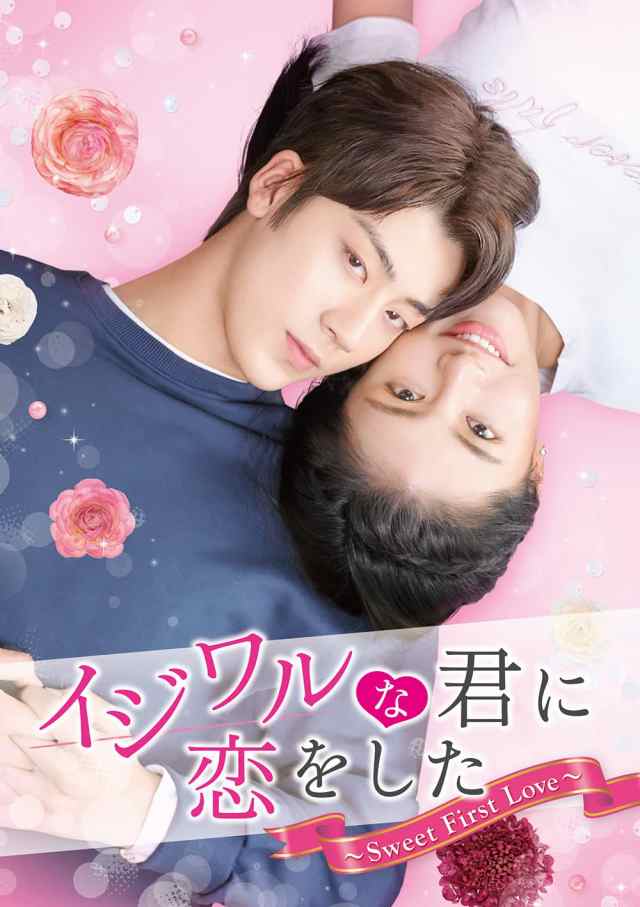 イジワルな君に恋をした~Sweet First Love~ DVD-SET2 (6枚組) レン・シーハオ, カービ(中古:未使用・未開封)の通販は
