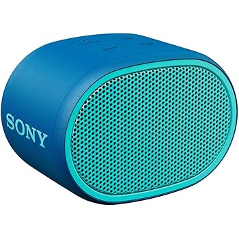 ソニー(SONY) ワイヤレスポータブルスピーカー SRS-XB01 L : 防水 Bluetooth スマホなしで操作可能 ストラップ付(中古:未使用・未開封)