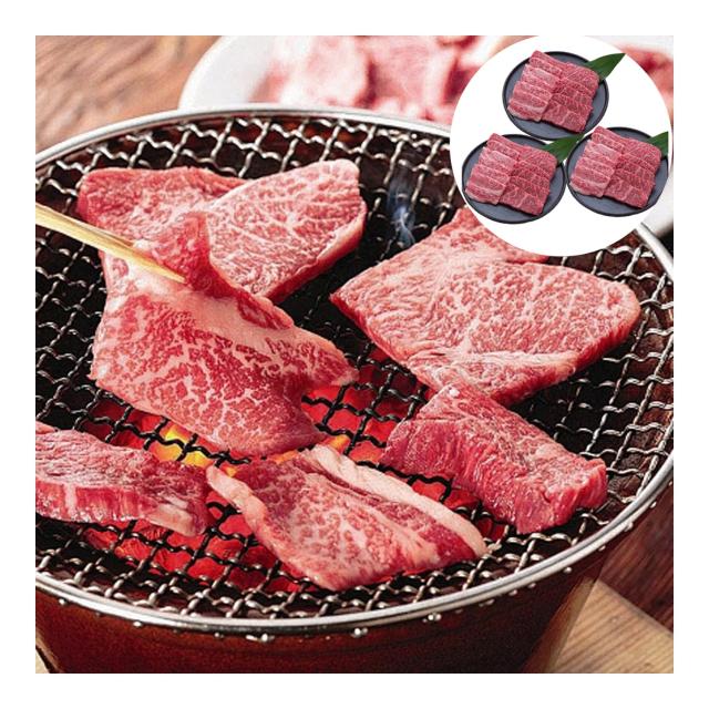 長野 信州プレミアム牛肉焼肉 モモ バラ 600g