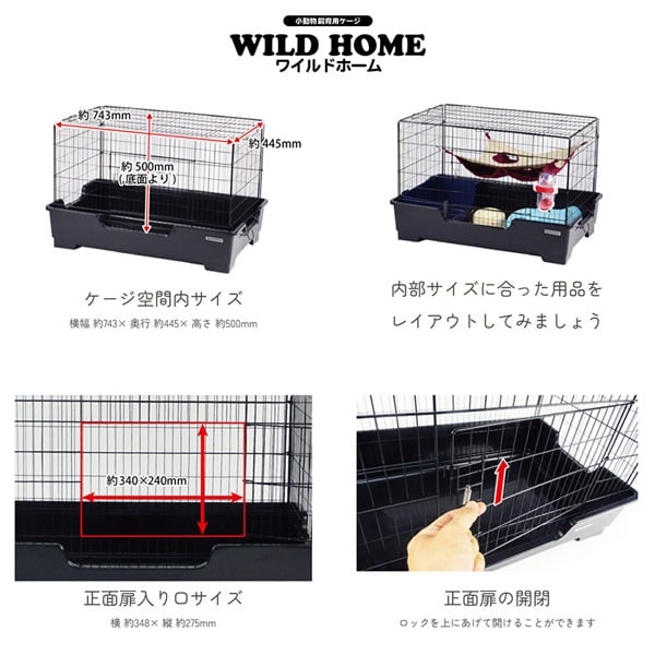 ワイルドホーム