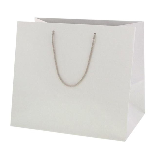 【直送／代引不可】手提げ紙袋 ネイチャーバッグ 37-26 環境対応紙 100枚の通販は