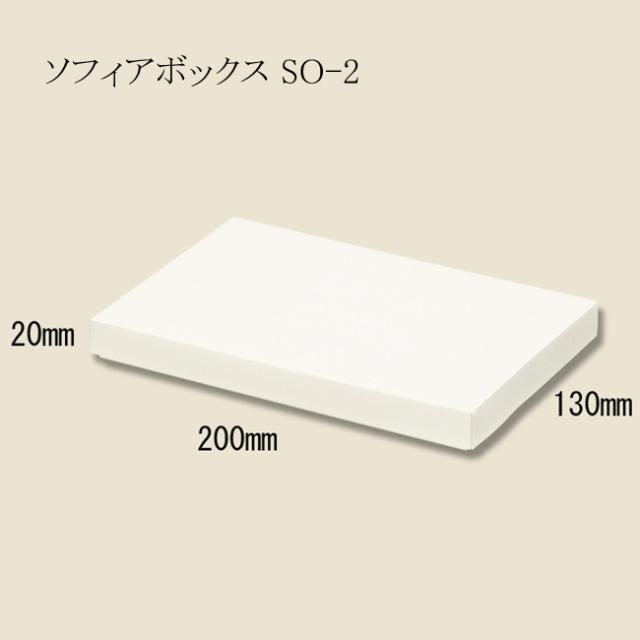 【直送／代引不可】ソフィアボックス SO-2　紙箱　130×200×20 380枚