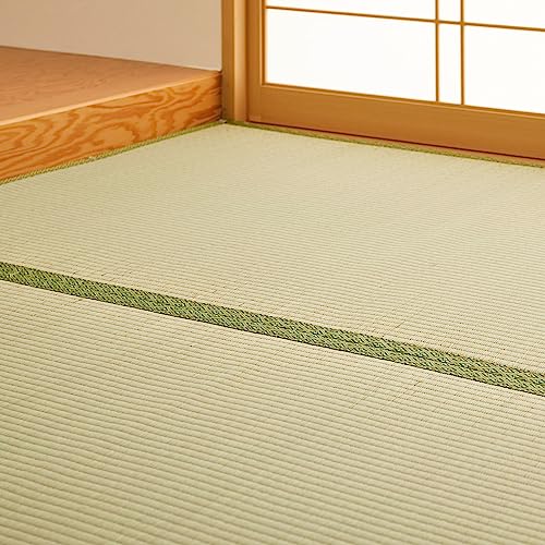 萩原 フリーカット上敷き い草カーペット 団地間6畳 約255X340cm 「HG」 双目織 裏貼あり 切れる DIY