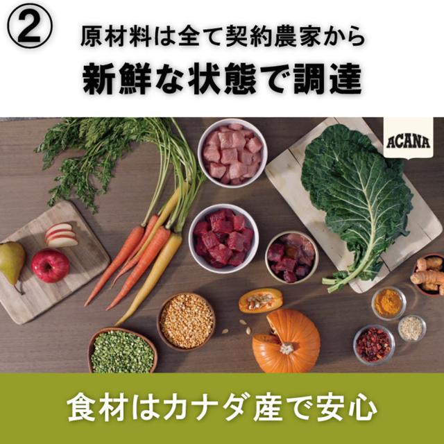 アカナクラシック インドアエントリーキャット 4.5kg_2
