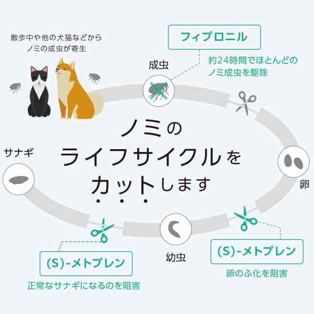 プロフェンダースポット 猫用 2.5〜5kg 2ピペット（動物用医薬品）