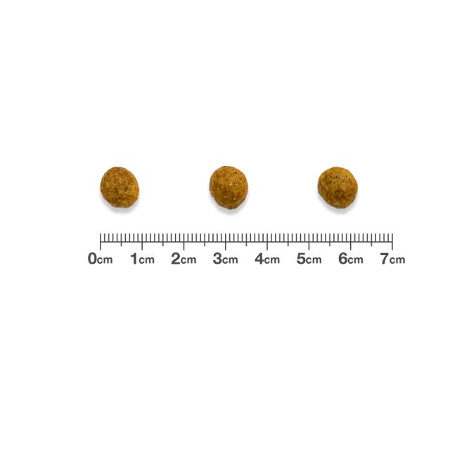 【2袋セット】ベッツワンベテリナリー 猫用 消化器ケア 可溶性繊維 フィッシュ 2kg_1