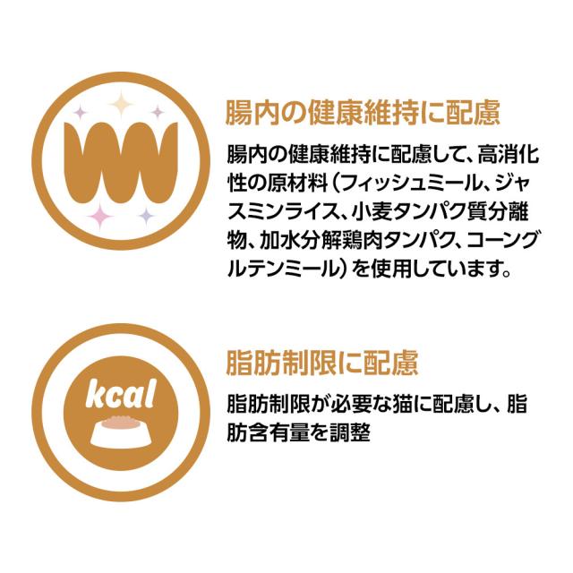 【2袋セット】ベッツワンベテリナリー 猫用 消化器ケア 可溶性繊維 フィッシュ 2kg_2