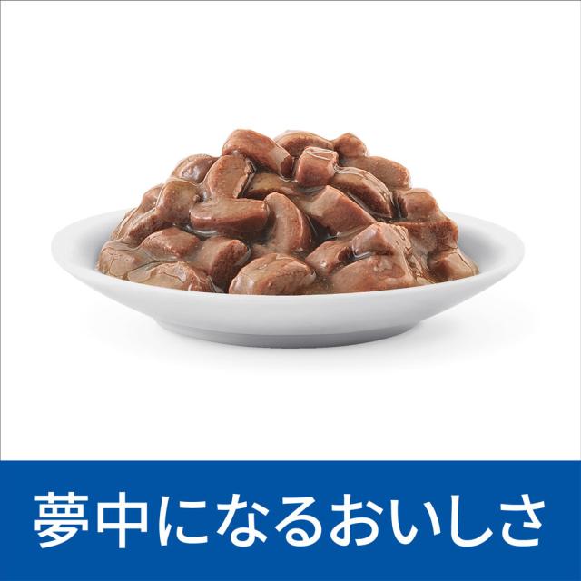 【3ケースセット】ヒルズ 食事療法食 猫用 k/d ケイディー 腎臓ケア やわらかサーモン＆グレイビーソース パウチ 85g×12_2