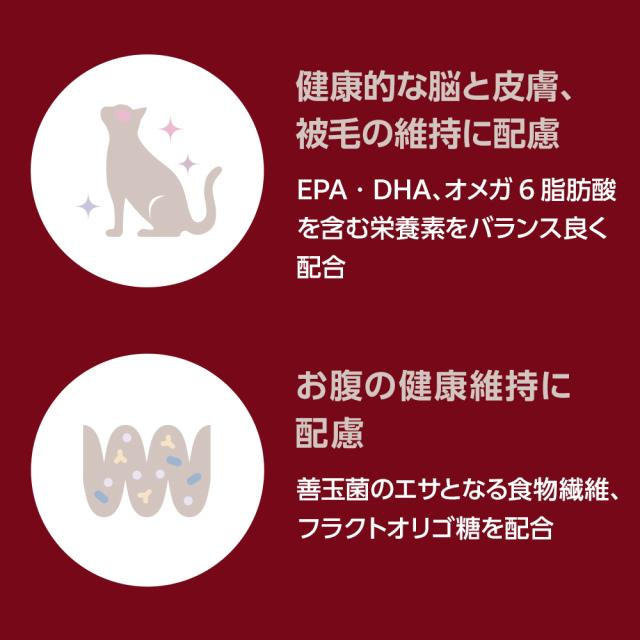 ベッツワンプレミアム 毎日の健康維持 成猫用 インドア チキン 2kg×6袋【ケース販売】_2