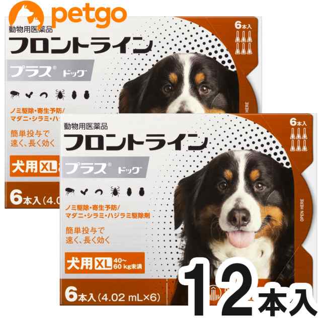 【2箱セット】犬用フロントラインプラスドッグXL 40kg〜60kg 6本（6ピペット）（動物用医薬品）