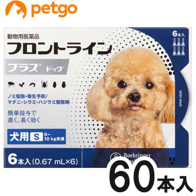 【10箱セット】フロントラインプラスドッグS 5〜10kg 6本（6ピペット）（動物用医薬品）