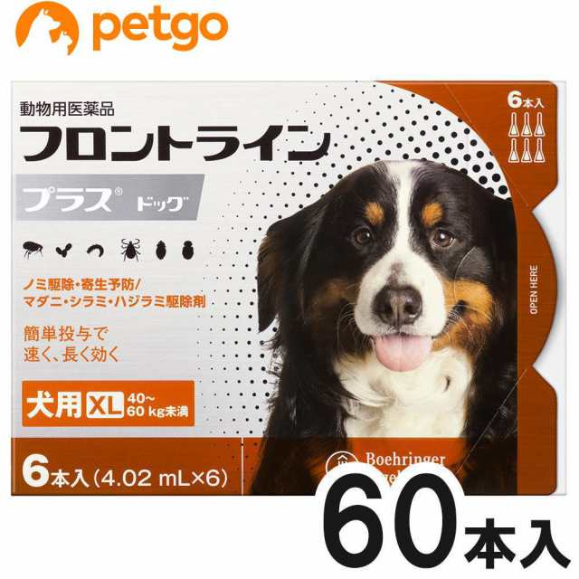 【10箱セット】犬用フロントラインプラスドッグXL 40kg〜60kg 6本（6ピペット）（動物用医薬品）