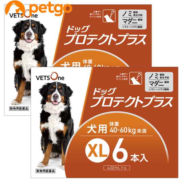 【2箱セット】ベッツワン ドッグプロテクトプラス 犬用 XL 40kg〜60kg未満 6本 (動物用医薬品)