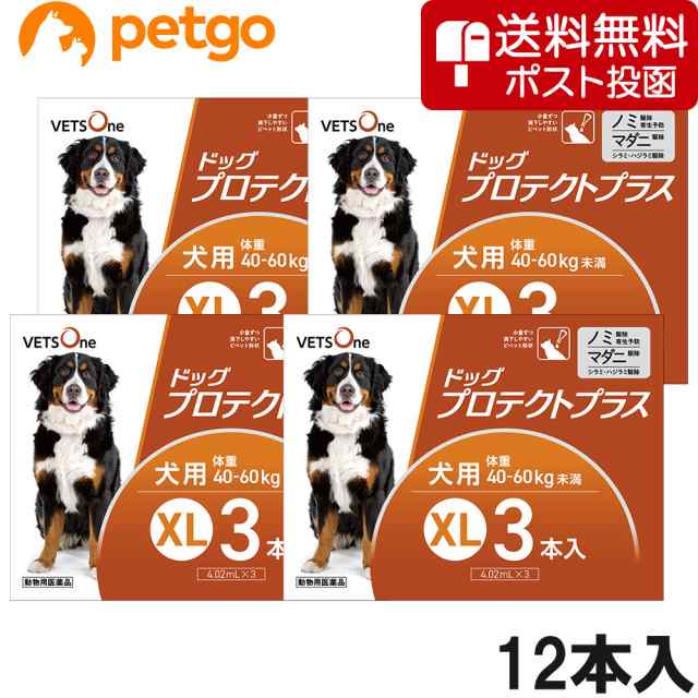 ベッツワンベテリナリー 犬用 消化器ケア 低脂肪 チキン 小粒 100g