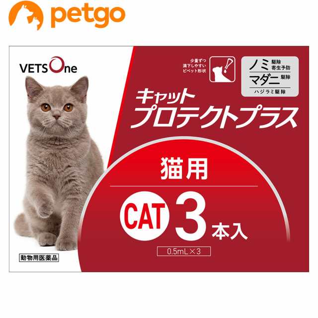 ベッツワンベテリナリー 猫用 消化器ケア 可溶性繊維 フィッシュ 100g