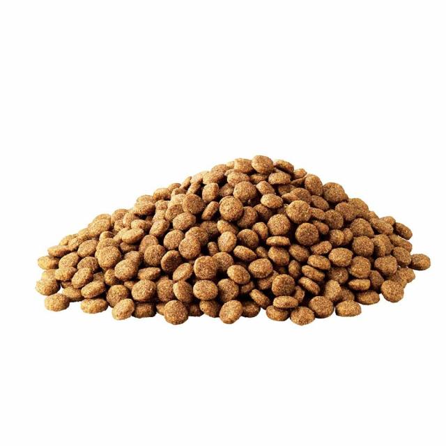 アイムス 成犬用 健康維持用 チキン 小粒 12kg_1