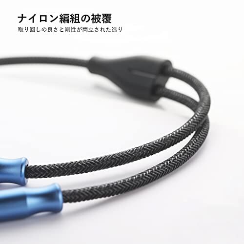 オーディオインターフェース　マイク　アップル純正変換ケーブル　セット オーディオインターフェース マイク アップル純正変換ケーブル セット