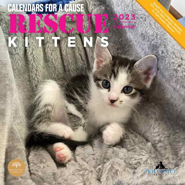 2022 Rescue Kittens Wall Calendar by Bright Day, 12 x 12 Inch