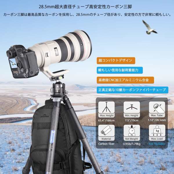 カーボン 三脚 ARTCISE 低重心44mmボール雲台付き29mmパイプ径 全高 ...