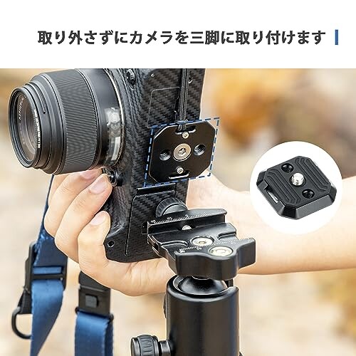 パピリーヒルズ 未使用 カメラストラップ 楽天市場】ピークデザイン L-BL-3 リーシュカメラストラップ