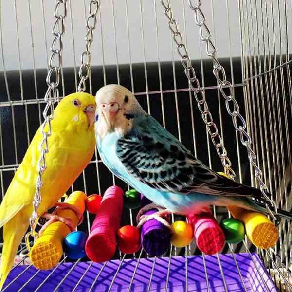 鳥の噛むおもちゃ,セキセイインコのための鳥のおもちゃ