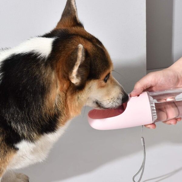 DOGNESS D02 ペットウォーターボトル 給水器 犬猫など 多種ペット携帯用水飲みボトル 水槽付き (300ml, ホワイト/ピンク/ブルー) (D02 White)