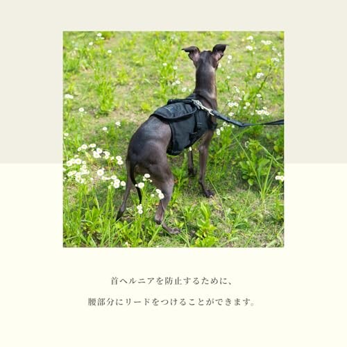 ペルシャ アマレバフト 円形 39×40 ライトグレー 犬 ハウンド 北欧 花 柄