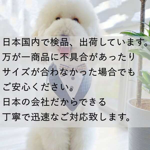 犬 ストア 服 おしっこ