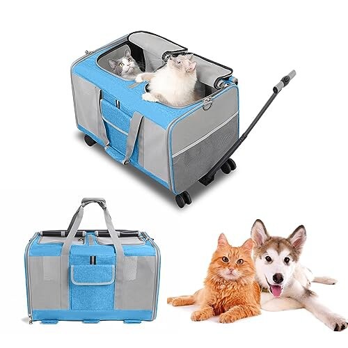 Aikenn 猫 キャリー 2匹用 キャリーバッグ 折りたたみ 通気性 耐久性 リュック 軽量 持ち運び 旅行 通院 ペット用品(ブルー)の通販はキャリー・クレート・カート