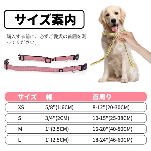 NESTROAD 犬用首輪・リードセット 調節可能 夜間反射 小型犬