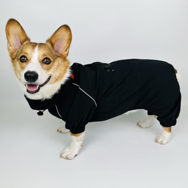 コーギー用 犬 レインコート 犬用レインコート 雨合羽 カッパ 雨具 レインウェア 犬用 ドッグウェア ドッグ 犬服 防水 可愛い 濡れない